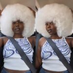 Perruque Disco Blanche Bouffante Pour Femme 4